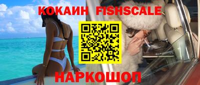 ECSTASY Гатчина