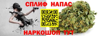 ECSTASY Гатчина