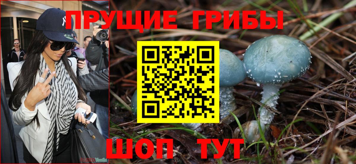 Серов  Галлюциногенные грибы Magic Shrooms  Вход с VPN 