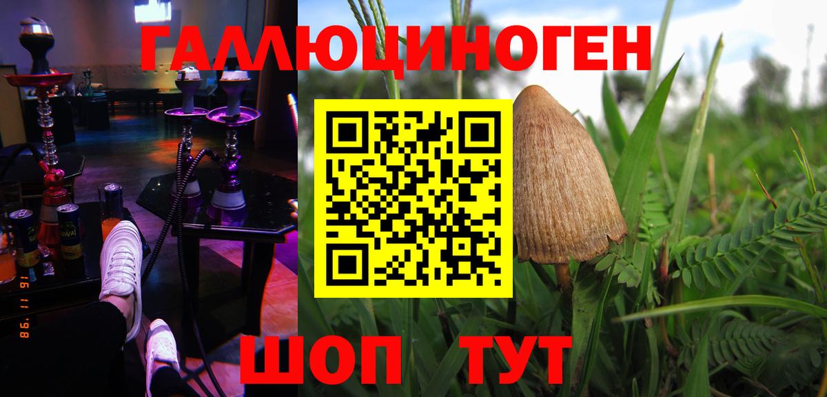 Псилоцибиновые грибы мицелий Серов